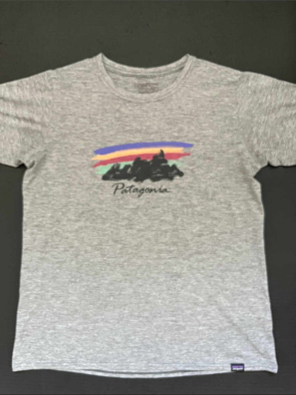 Patagonia Capilene Cool Stretch Performance Daily T